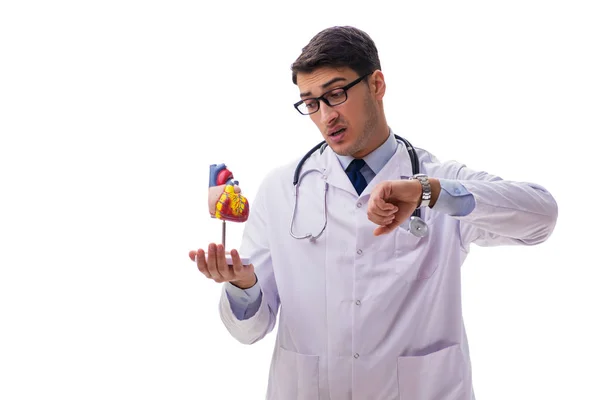 心臓の形が白く隔離された若い医師 — ストック写真