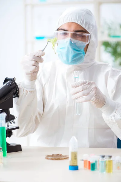 Bioquímico masculino trabalhando no laboratório em plantas — Fotografia de Stock