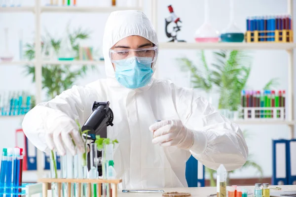 Чоловічий біохімік, що працює в лабораторії на рослинах — стокове фото