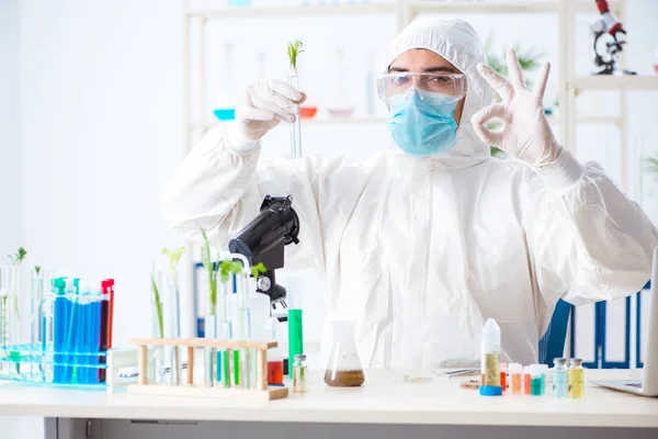 Bioquímico masculino trabalhando no laboratório em plantas — Fotografia de Stock