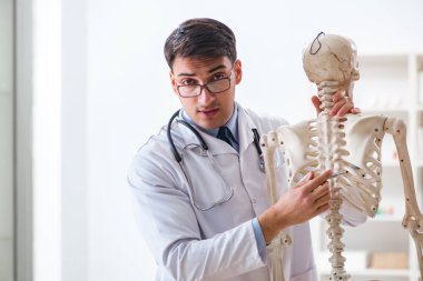 İskeleti beyaz olan Yong erkek doktoru.