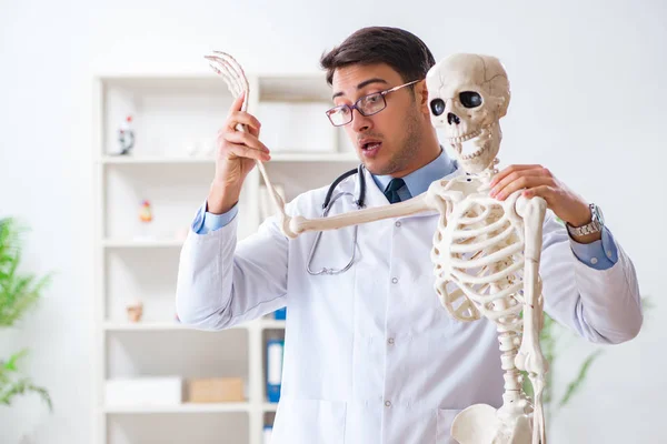 İskeleti beyaz olan Yong erkek doktoru. — Stok fotoğraf