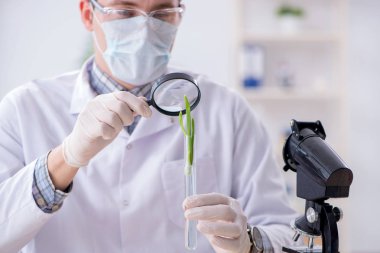 Bitkiler üzerinde çalışan erkek biyokimyacı.