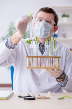 Bitkiler üzerinde çalışan erkek biyokimyacı.