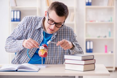 Tıp öğrencisi ders sırasında sınıfta kalp eğitimi alıyor.