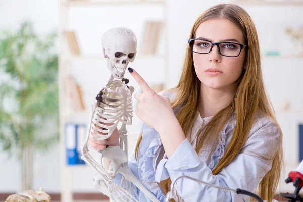 Studenten zitten in de klas en studeren skelet — Stockfoto