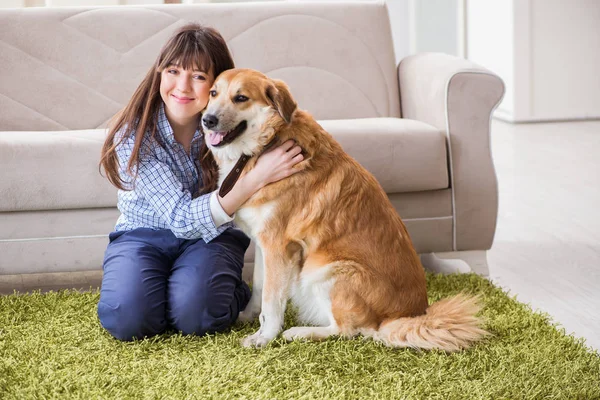 Boldog nő kutya tulajdonos otthon golden retriever — Stock Fotó