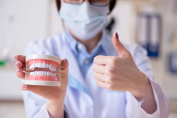 Dentist practicing work on tooth model — Stock Photo, Image