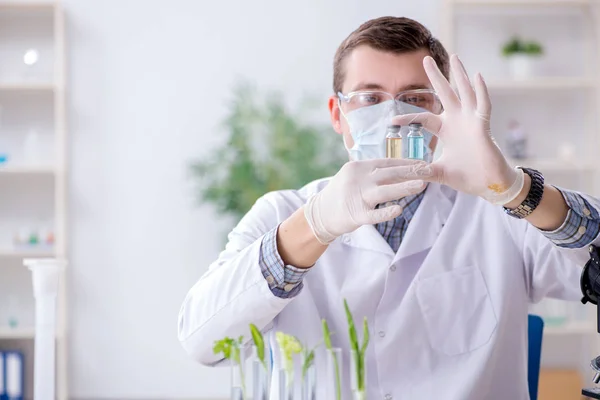 Bioquímico masculino trabajando en el laboratorio de plantas —  Fotos de Stock