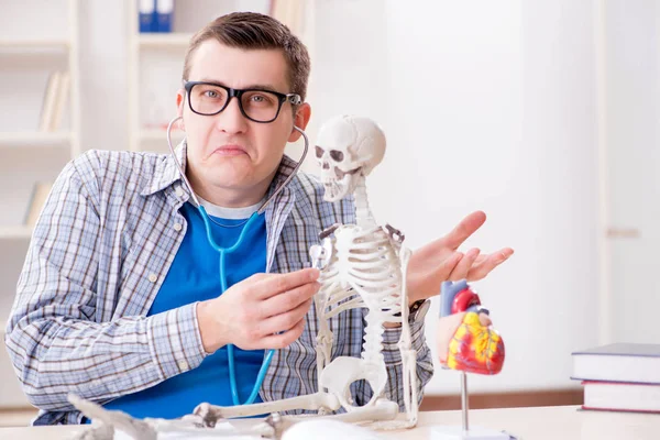 Φοιτητής ιατρικής μελετώντας σκελετό στην τάξη κατά τη διάρκεια διάλεξη — Φωτογραφία Αρχείου