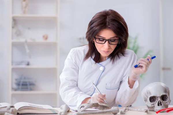 Medico che lavora in laboratorio sullo scheletro — Foto Stock