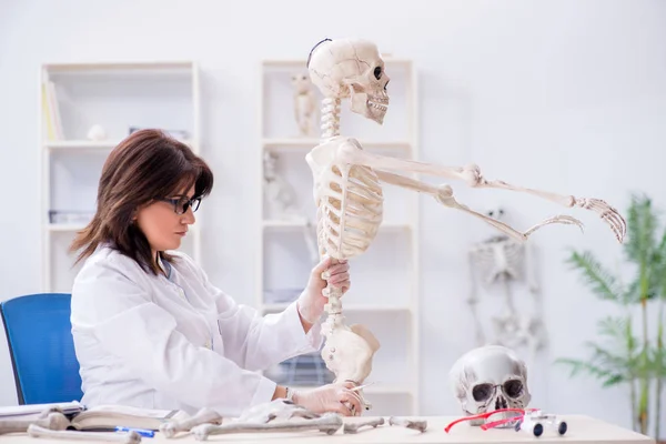 Medico che lavora in laboratorio sullo scheletro — Foto Stock