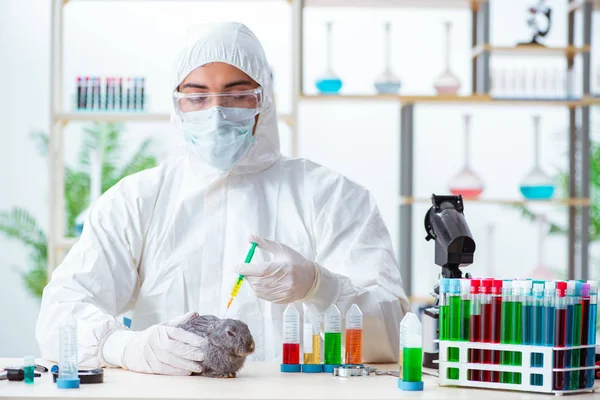 Médico veterinario revisando conejo en su clínica — Foto de Stock