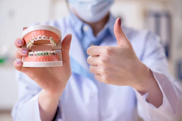 Zahnarzt praktiziert Arbeit am Zahnmodell — Stockfoto