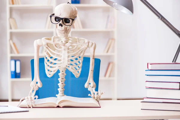 Student skeleton preparing for exams — Stock Photo, Image