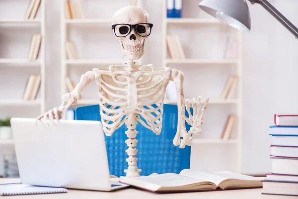 Esqueleto del estudiante preparándose para los exámenes — Foto de Stock
