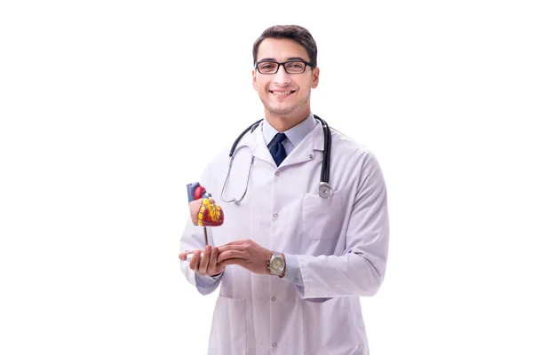 Молодий лікар з формою серця ізольований на білому — стокове фото