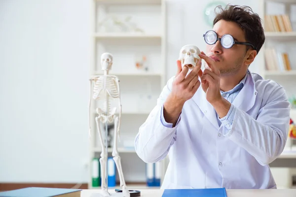 Galne läkare studerar mänskligt skelett — Stockfoto