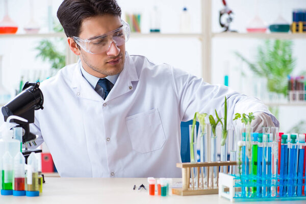 Мужской биохимик, работающий в лаборатории по растениям