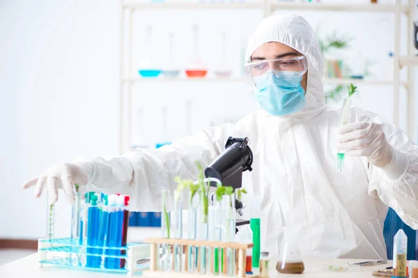 Biokimiawan laki-laki bekerja di laboratorium pada tanaman — Stok Foto