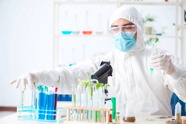 Bioquímico masculino trabalhando no laboratório em plantas — Fotografia de Stock