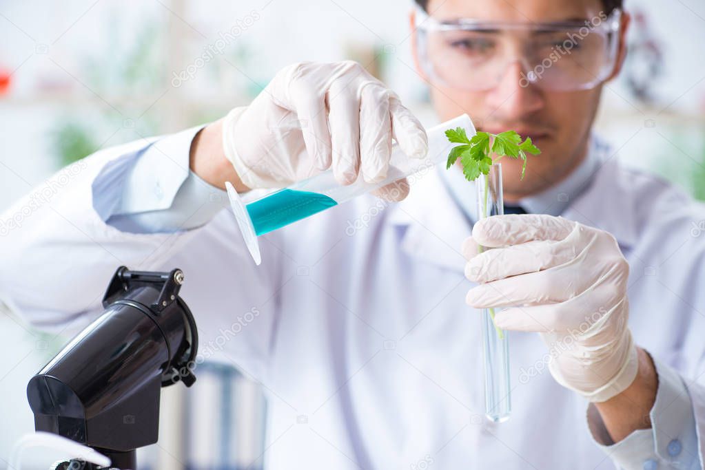 Male biochemist working in the lab on plants