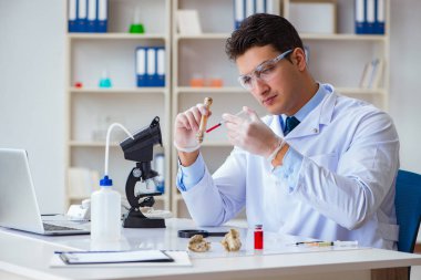 Paleontolojist soyu tükenmiş hayvan kemiklerine bakıyor