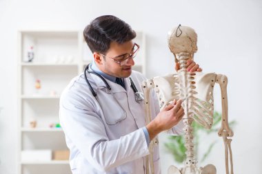 İskeleti beyaz olan Yong erkek doktoru.