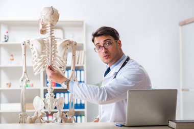 İskeleti beyaz olan Yong erkek doktoru.