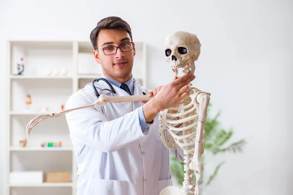 Yong médico masculino com esqueleto isolado em branco — Fotografia de Stock