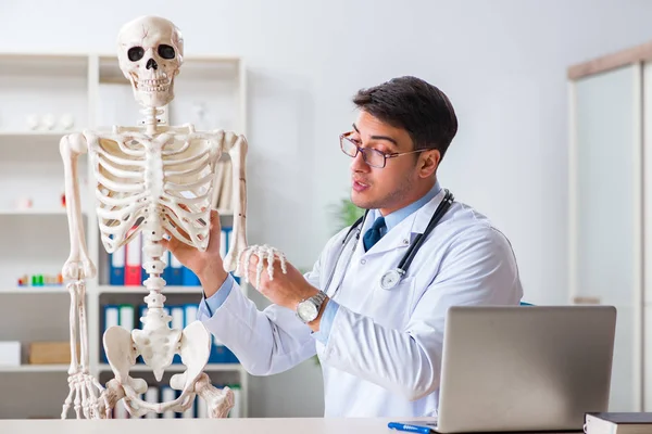 Yong male doctor with skeleton isolated on white — Stock Photo, Image