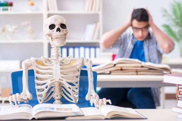 Esqueleto de estudante ouvindo palestra em sala de aula — Fotografia de Stock