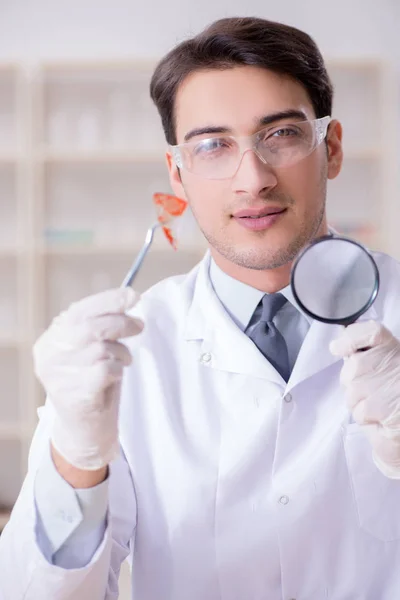 Criminólogo Experto Trabajando Laboratorio Para Obtener Evidencia —  Fotos de Stock