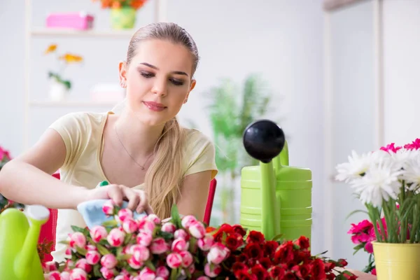 Ung kvinna vattna växter i sin trädgård — Stockfoto