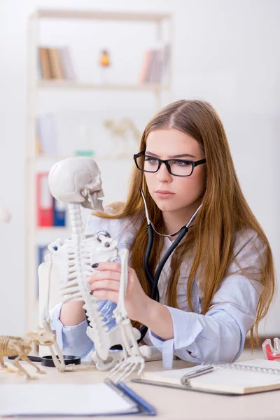 Student sitzt im Klassenzimmer und studiert Skelett — Stockfoto