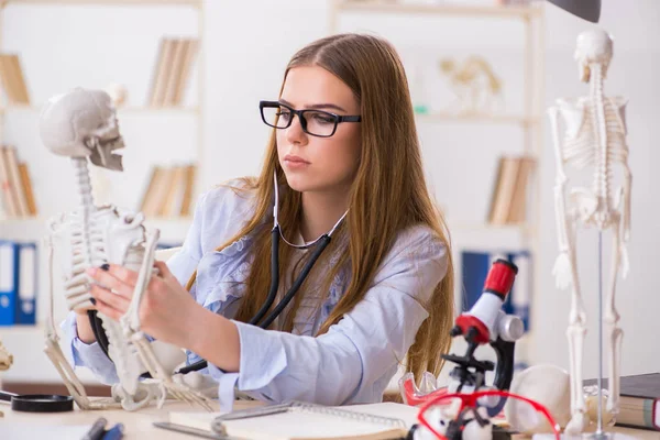 Student sedí ve třídě a studuje kostru — Stock fotografie