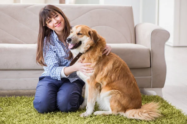 Lycklig kvinna hund ägare hemma med golden retriever — Stockfoto
