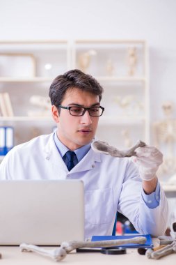 Profesör laboratuvarda insan iskeletini inceliyor.