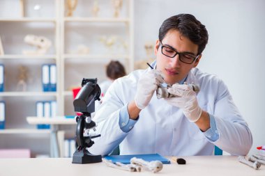 Profesör laboratuvarda insan iskeletini inceliyor.