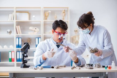 Profesör laboratuvarda insan iskeletini inceliyor.