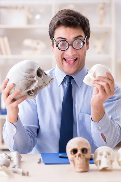 Смешной сумасшедший профессор изучает человеческий скелет — стоковое фото