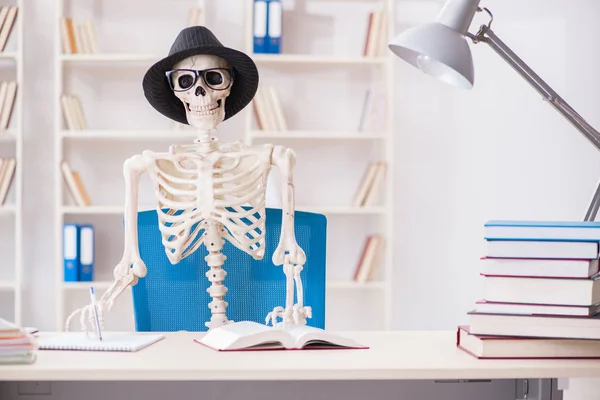 Esqueleto del estudiante preparándose para los exámenes —  Fotos de Stock