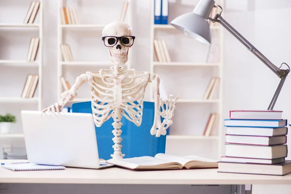 Esqueleto de estudante se preparando para exames — Fotografia de Stock