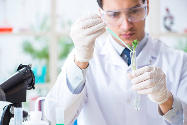 Male biochemist working in the lab on plants