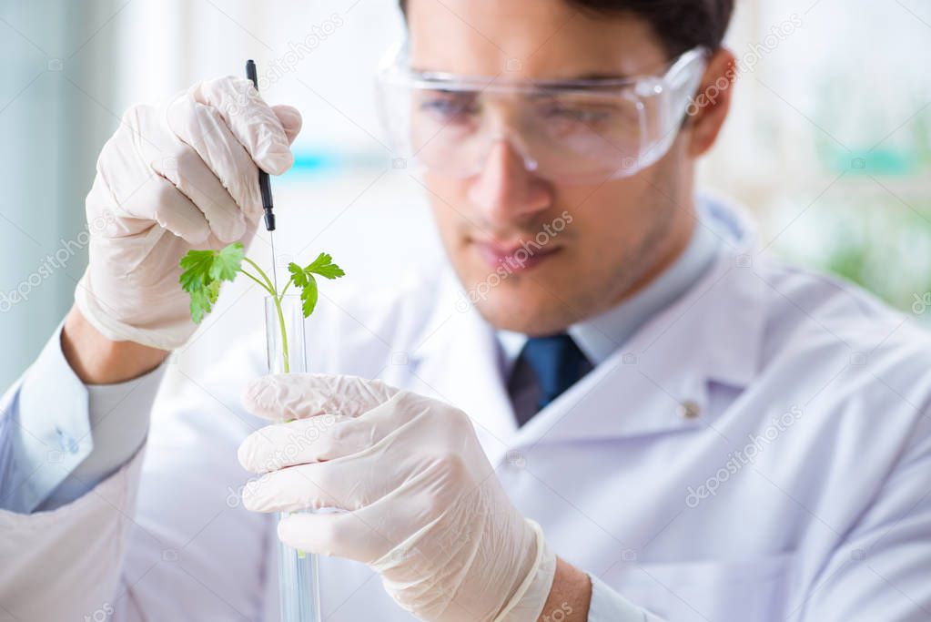 Male biochemist working in the lab on plants