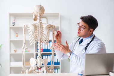 İskeleti beyaz olan Yong erkek doktoru.