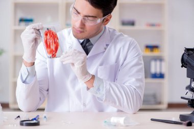 Kanıt için laboratuvarda çalışan uzman bir kriminolog.