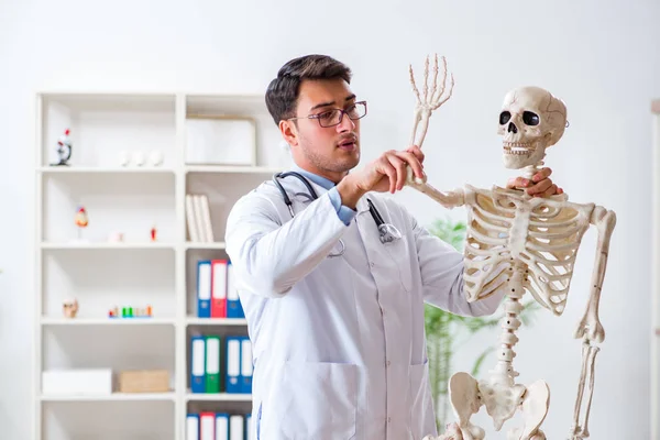 Yong médico masculino com esqueleto isolado em branco — Fotografia de Stock