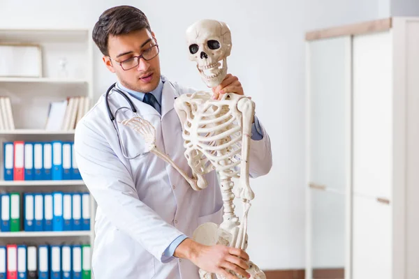 Yong médico masculino com esqueleto isolado em branco — Fotografia de Stock