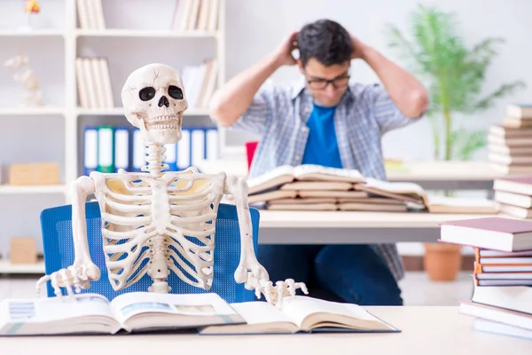 Student skeleton listening to lecture in classroom — Stock Photo, Image